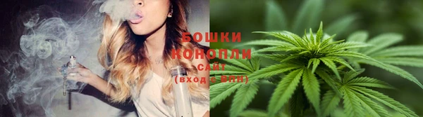 спайс Семёнов