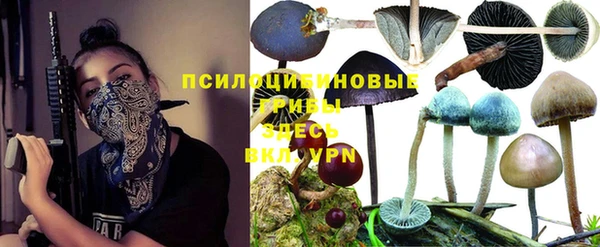 спайс Семёнов