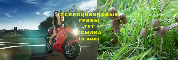 спайс Семикаракорск